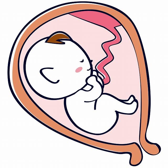 胎児の人権